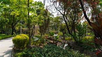 The stream winds its way along the shrubs and trees, then flows through Cornwall Street Park, creates a tranquil environment with the subtle soothing filter of the sound of water over the urban hum.